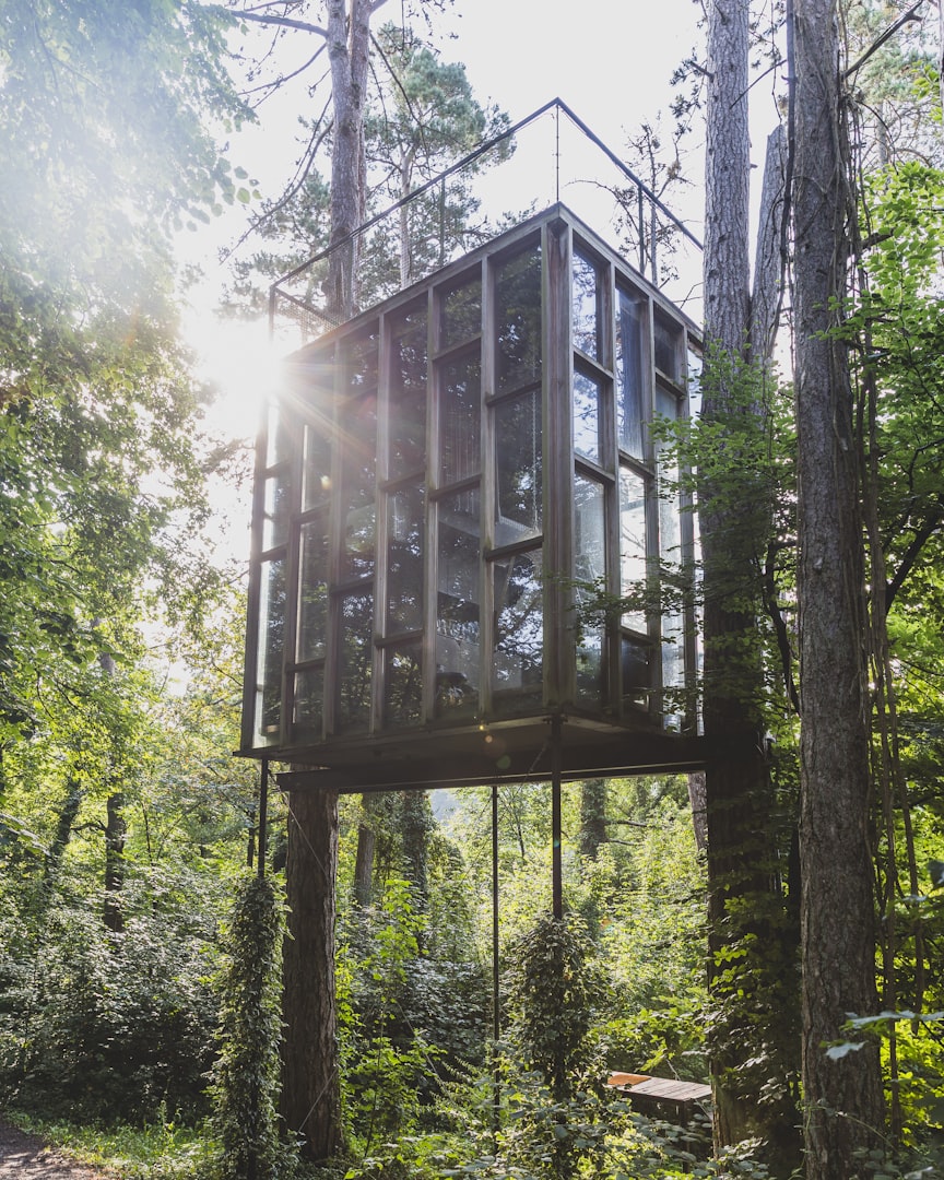 Cozy treehouse in the middle of a quiet forest, symbol of digital detox and slow living.