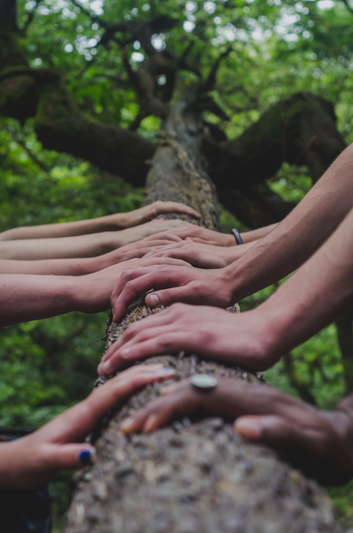 Hands of diverse individuals rest on a tree trunk, symbolizing unity and connection with nature. The setting is a lush, green forest.