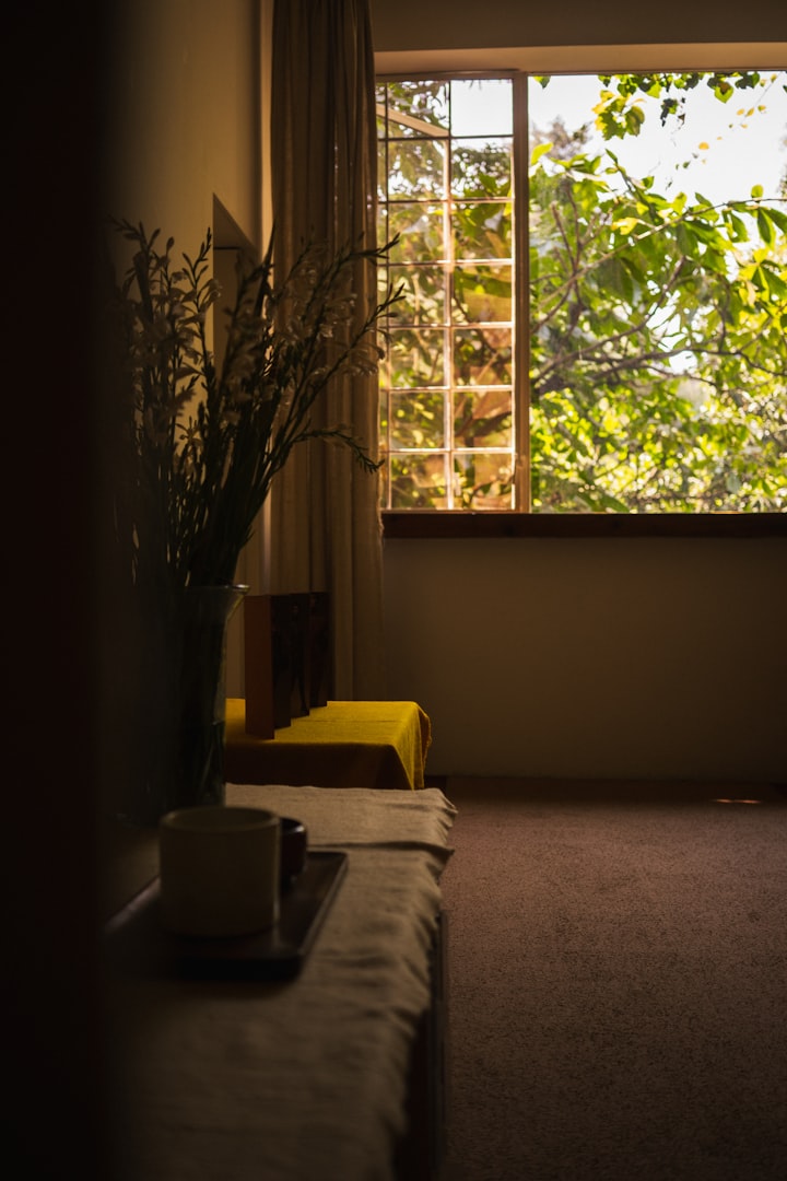 Cozy room with an open window, light streaming onto leafy plants outside. A table with a vase and cup adds a tranquil, inviting atmosphere, representing holistic retreat approach.