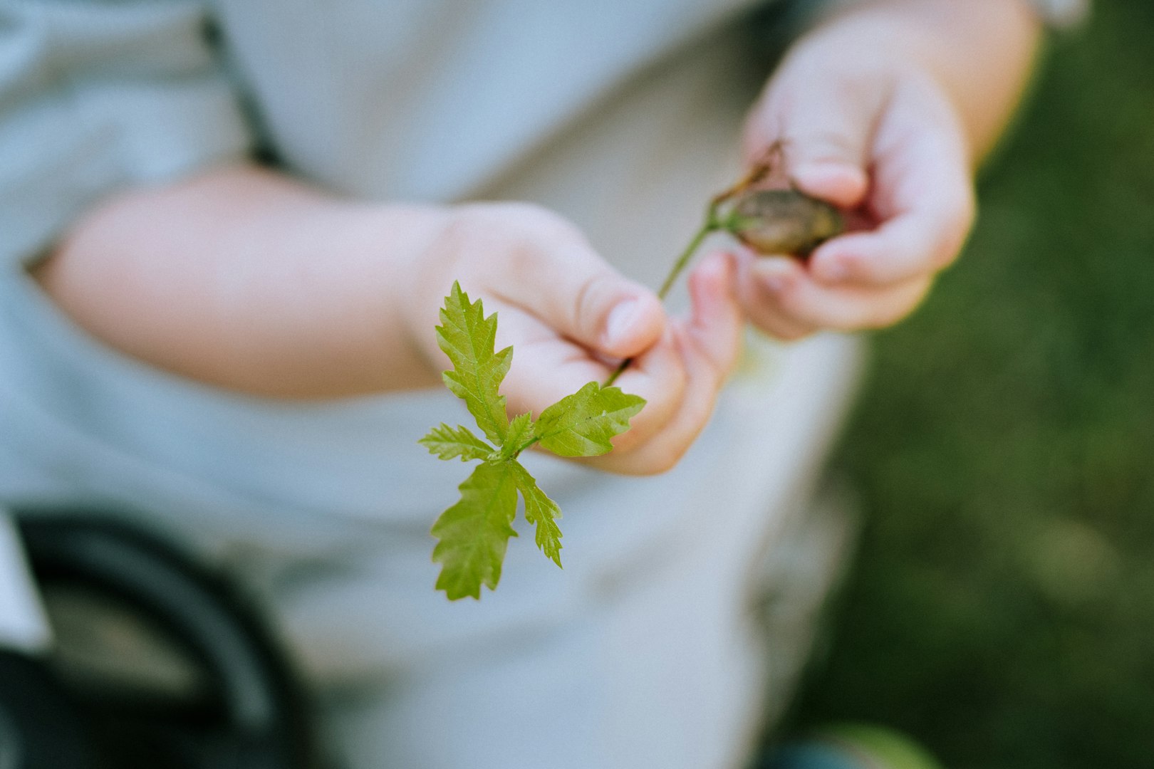 A child gently holds a small green sprout and an acorn. The background is soft and grassy, evoking a sense of curiosity and nature's simplicity.