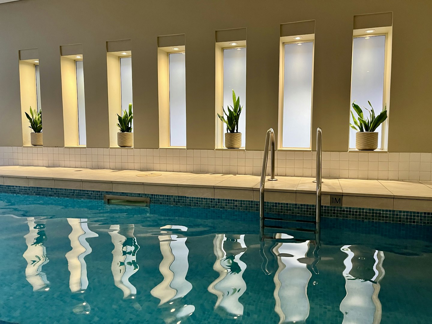 Indoor swimming pool with calm, clear water. Tall frosted windows with potted plants line the wall behind a metal pool ladder, creating a serene ambiance.