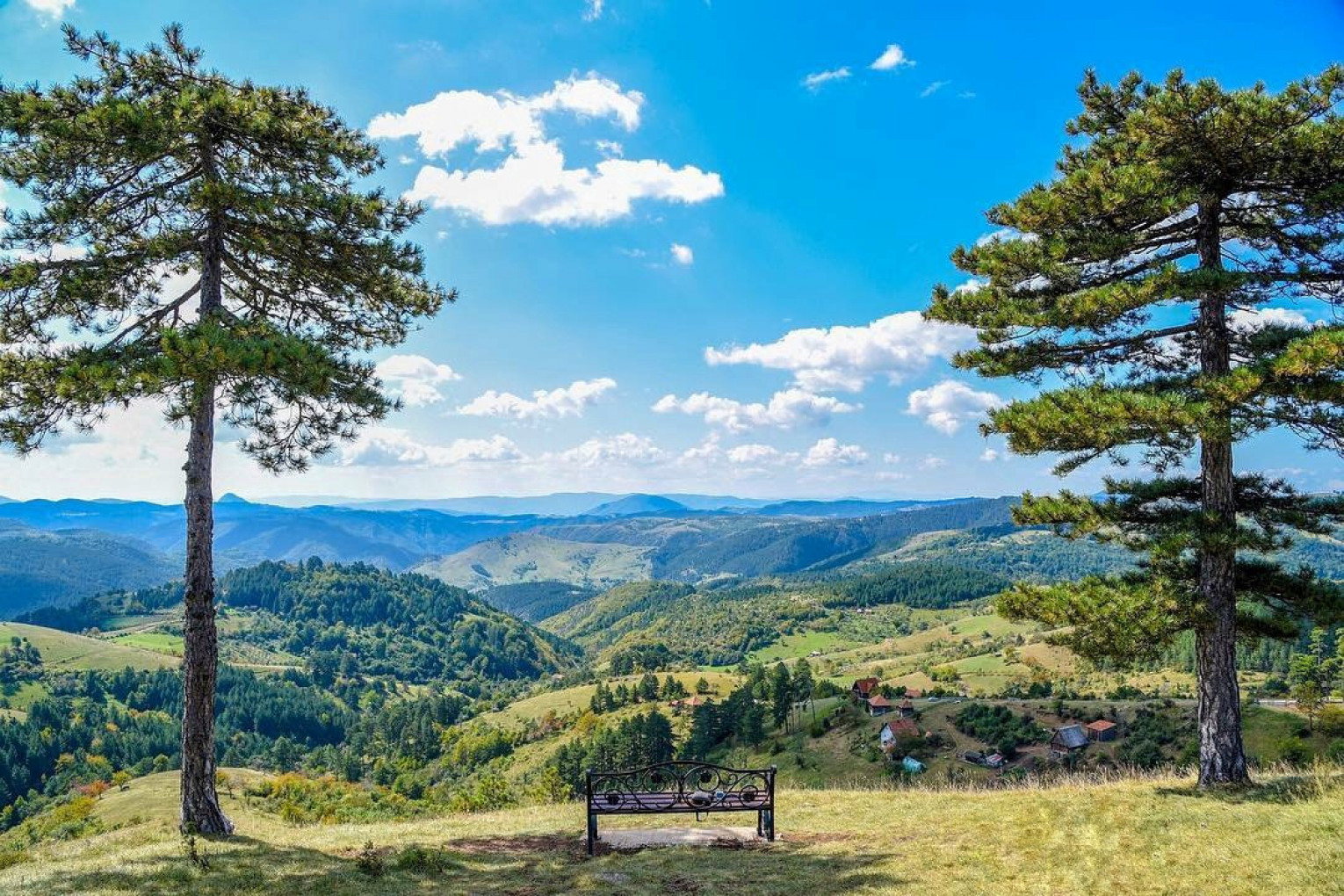 A picturesque landscape in Dobroselica, Zlatibor with a bench between two tall pine trees overlooking rolling green hills under a bright blue sky with fluffy white clouds.